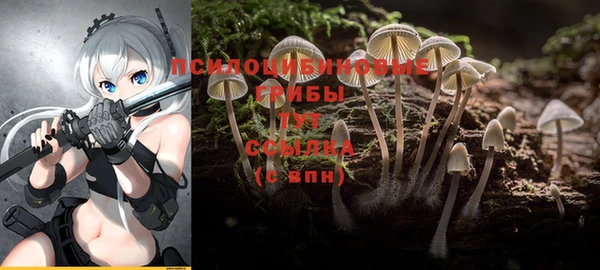 прущий лед Карпинск